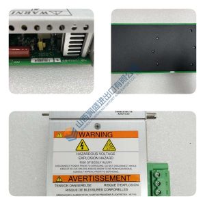 EPRO PR9268/201-100 | 工业级瓦振探头 4~1000Hz宽频响 IP65防护